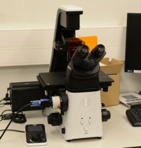 Phase contrast and fluorescent microscope Eclipse TS2R-image